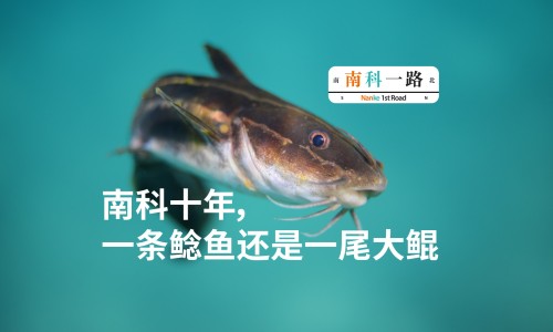 避震最好的婴儿车是哪款-避震最好的婴儿车-专业避震好的婴儿推车排名平台-避震最好的婴儿车是哪款